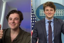 Harry Sisson Net Worth: The Real Story Behind His Fast-Rising Wealth